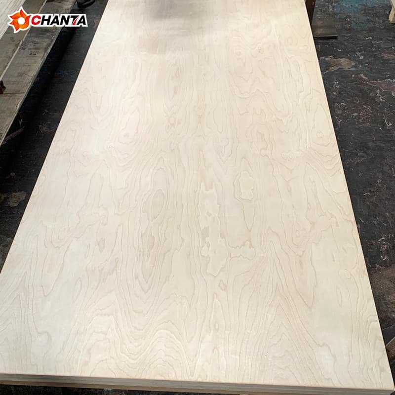 Birch Plywood Price